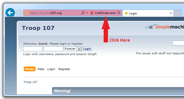 Internet Explorer 11 S-Channel warning